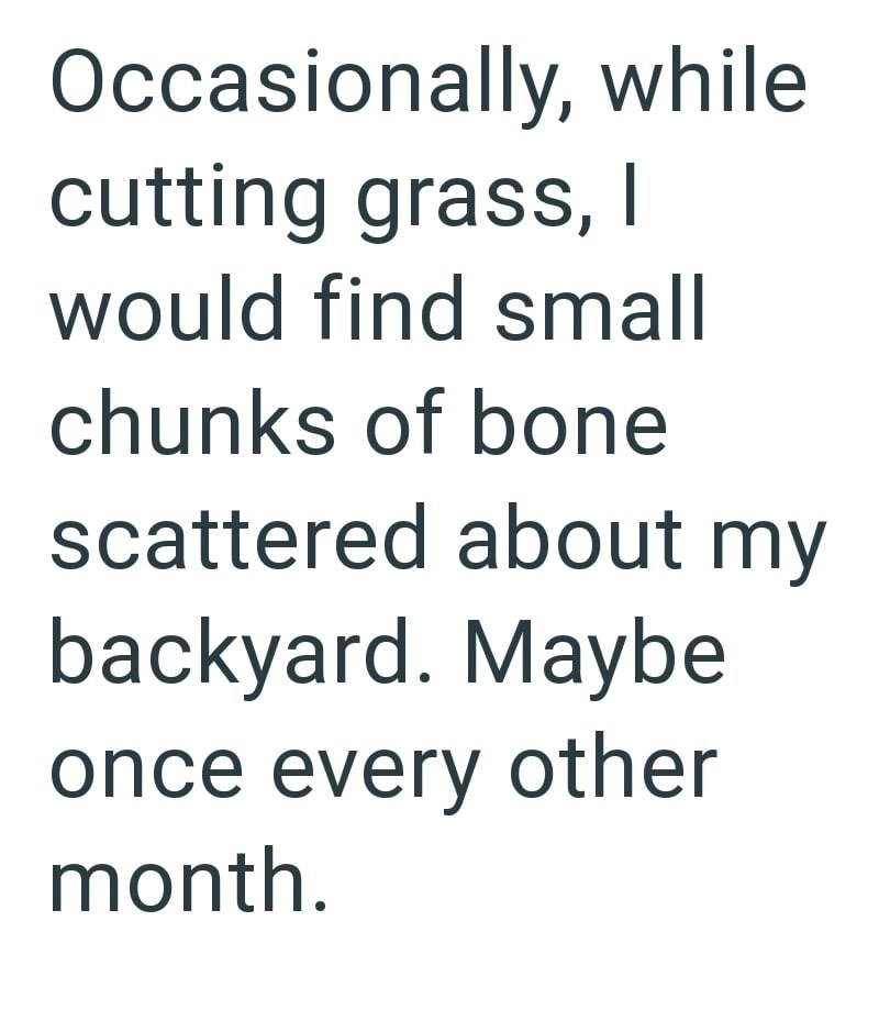while Occasionally, cutting grass, I would find small chunks of bone scattered about my backyard. Maybe once every other month.