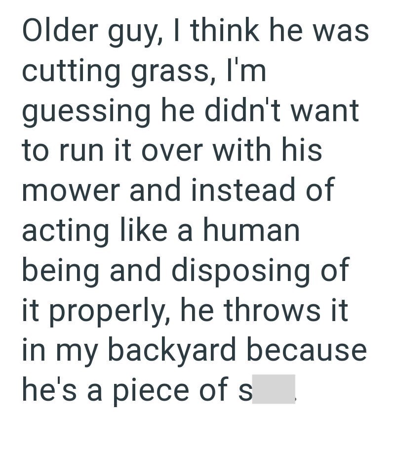 Older guy, I think he was cutting grass, I'm guessing he didn't want to run it over with his mower and instead of acting like a human being and disposing of it properly, he throws it in my backyard because he's a piece of s