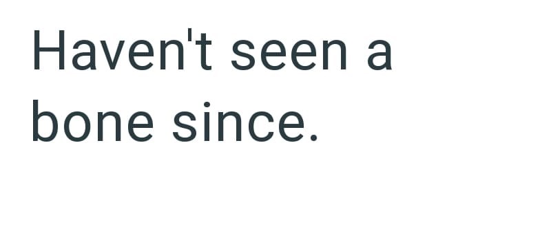 Haven't seen a bone since.