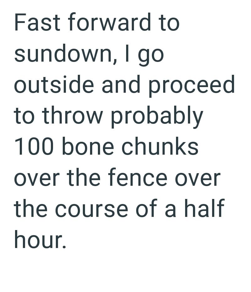 Fast forward to sundown, I go outside and proceed to throw probably 100 bone chunks over the fence over the course of a half hour.