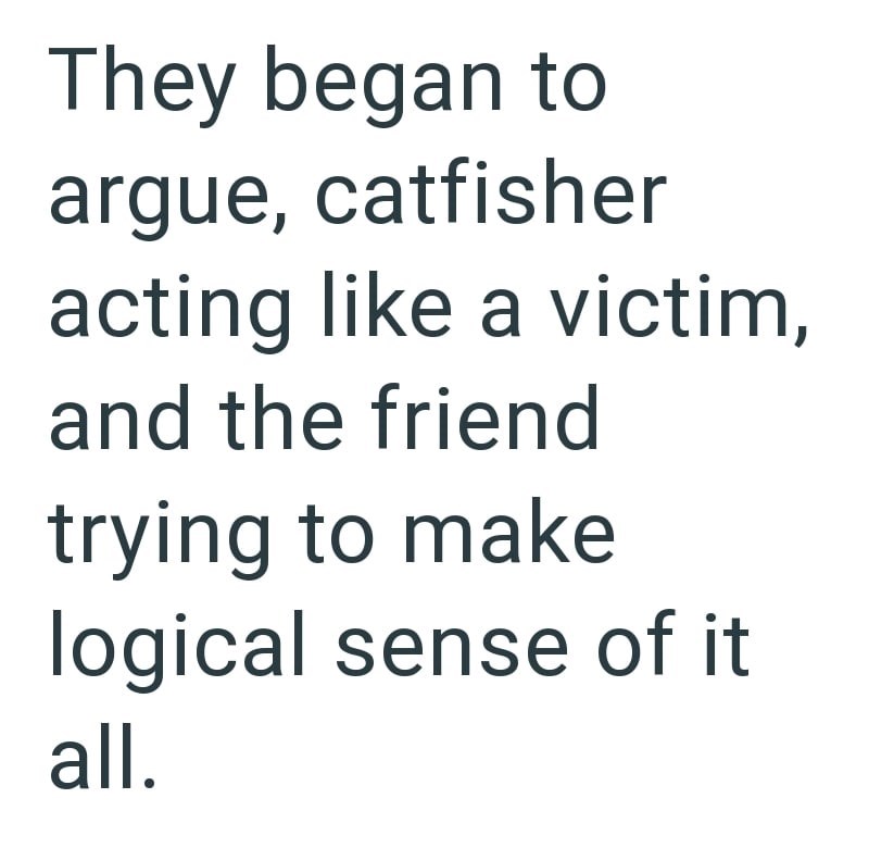 They began to argue, catfisher acting like a victim, and the friend trying to make logical sense of it all.