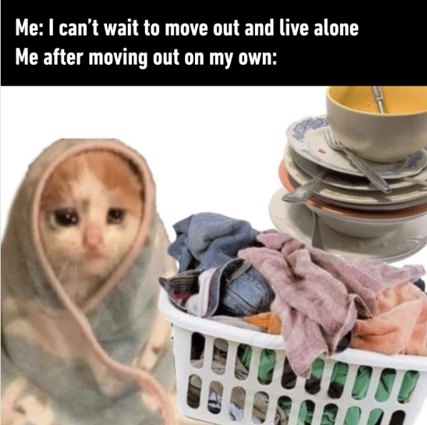 Me: I can't wait to move out and live alone Me after moving out on my own: