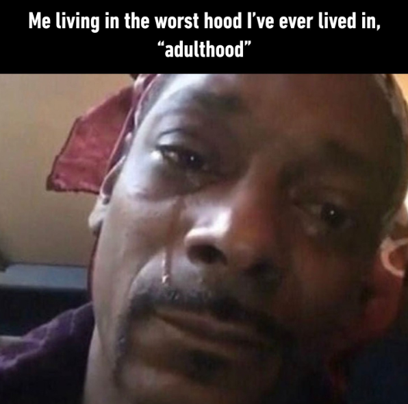Me living in the worst hood I've ever lived in, "adulthood"