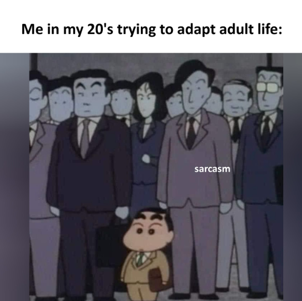 Me in my 20's trying to adapt adult life: sarcasm
