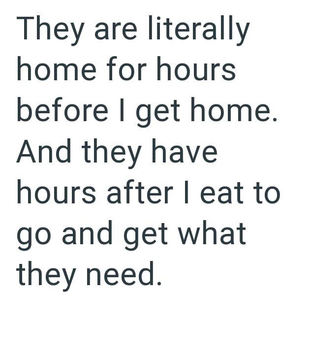 They are literally home for hours before I get home. And they have hours after I eat to go and get what they need.