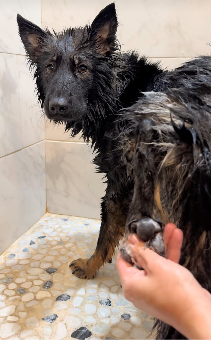 Cheezburger Image 10622286592