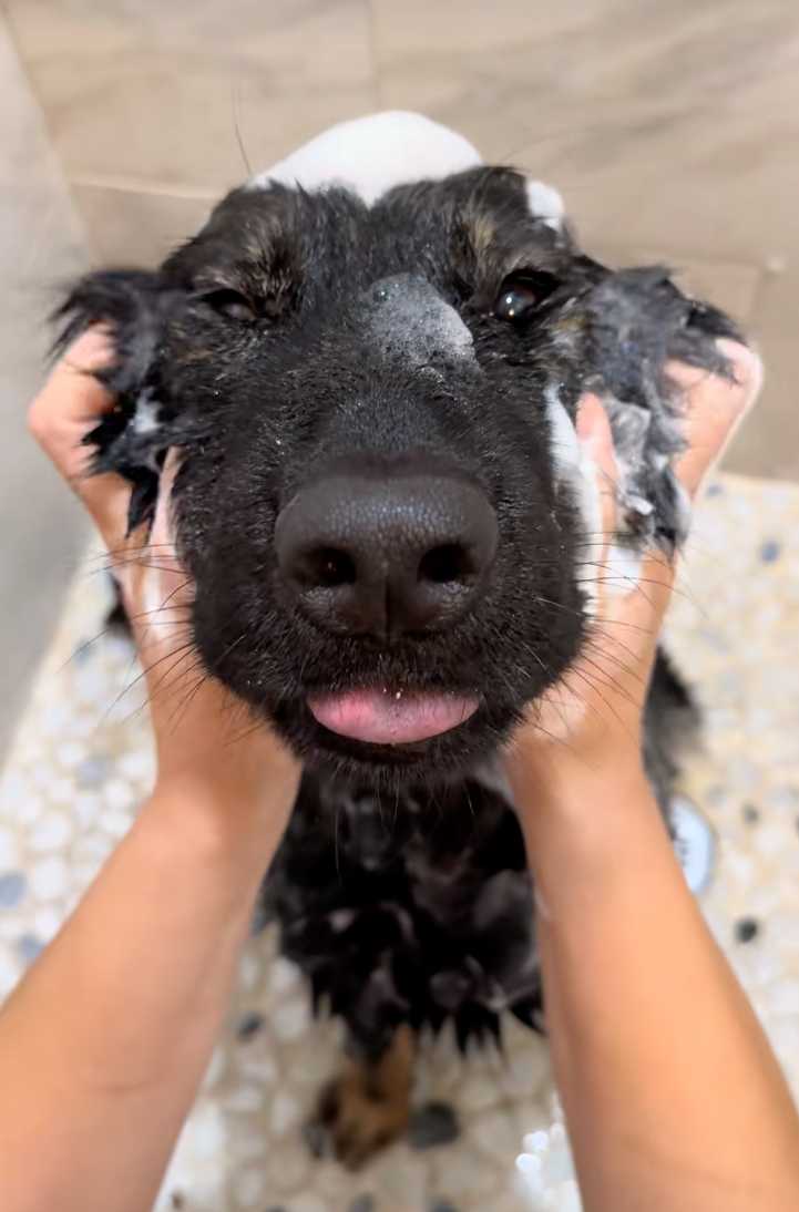 Cheezburger Image 10622286848