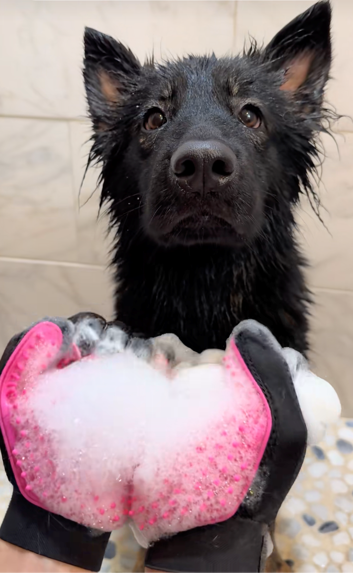 Cheezburger Image 10622287360