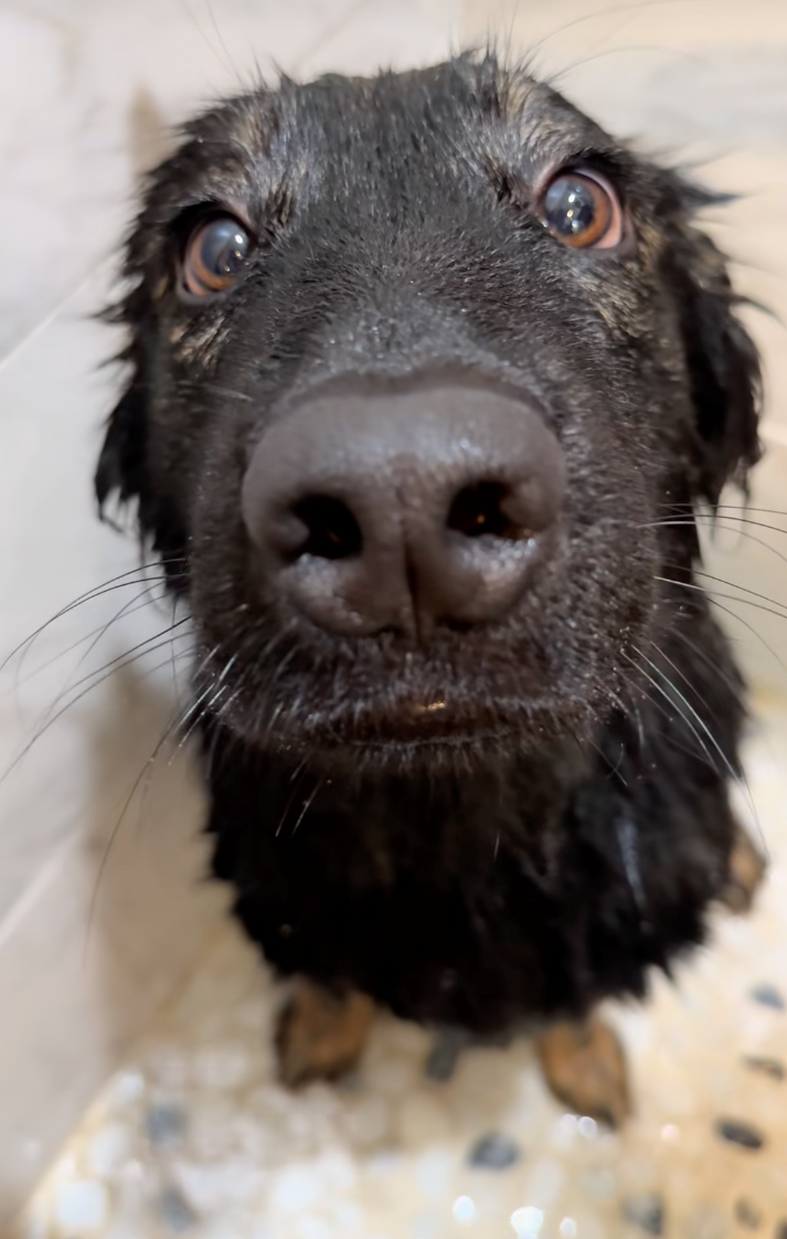 Cheezburger Image 10622288640