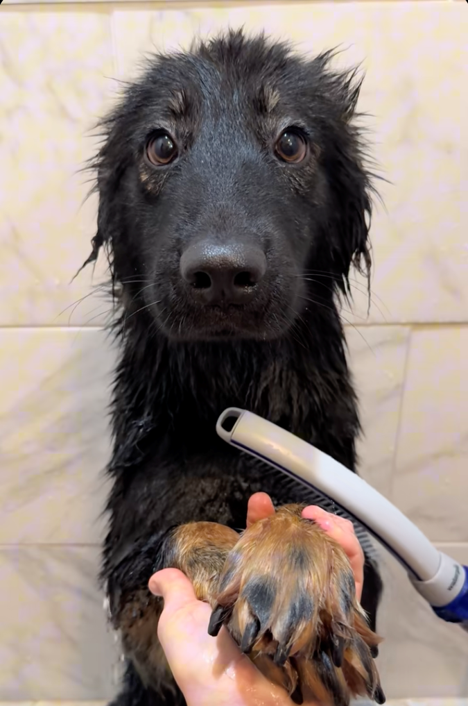 Cheezburger Image 10622288896