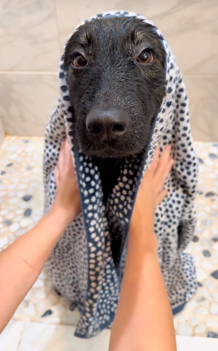 Cheezburger Image 10622289152