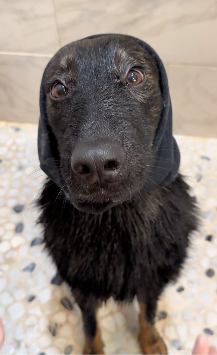 Cheezburger Image 10622289408