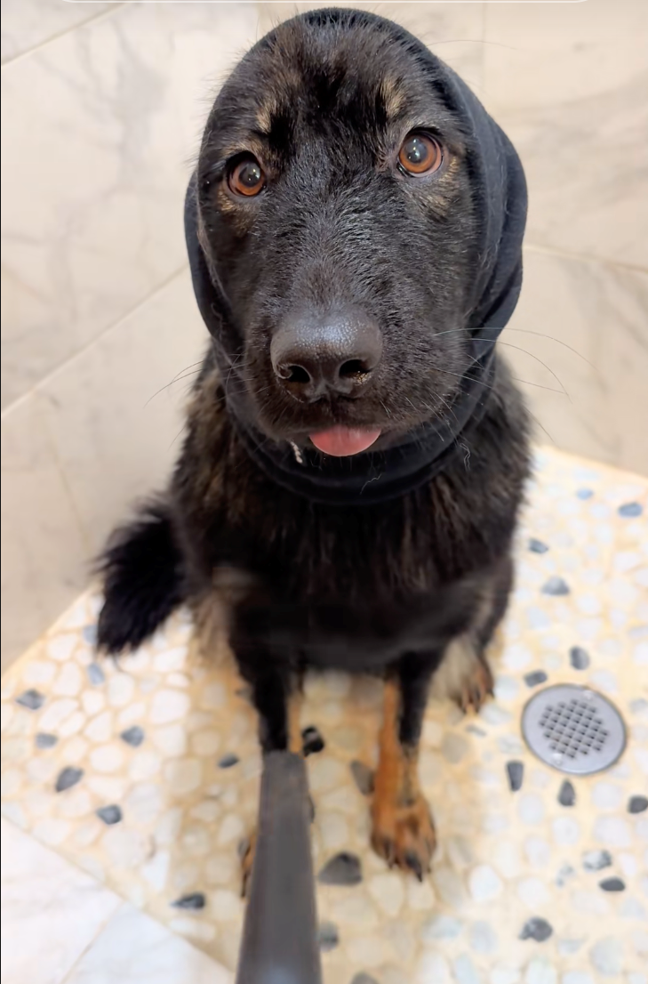 Cheezburger Image 10622289664