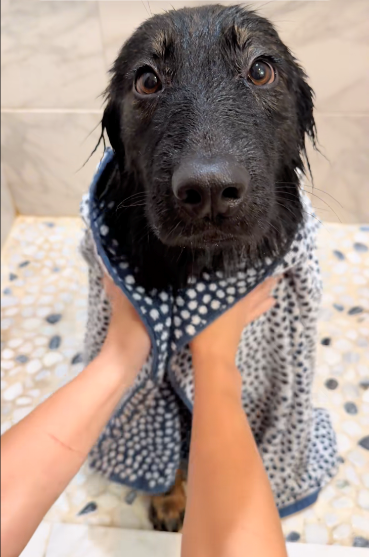 Cheezburger Image 10622289920