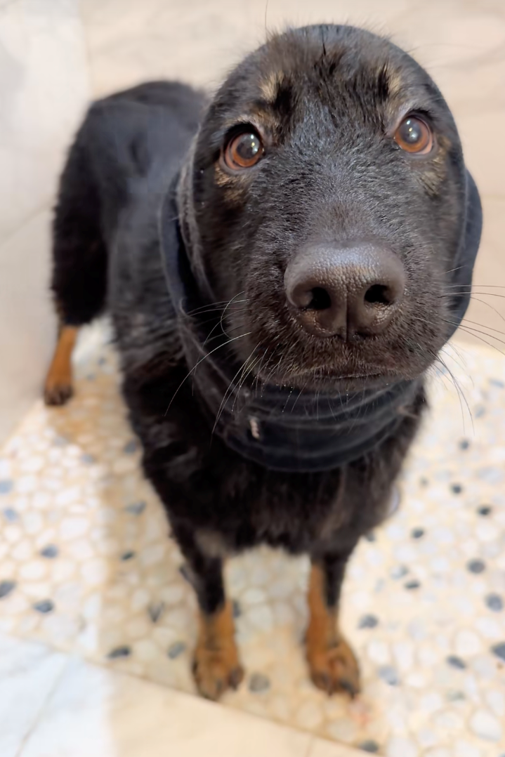 Cheezburger Image 10622290688