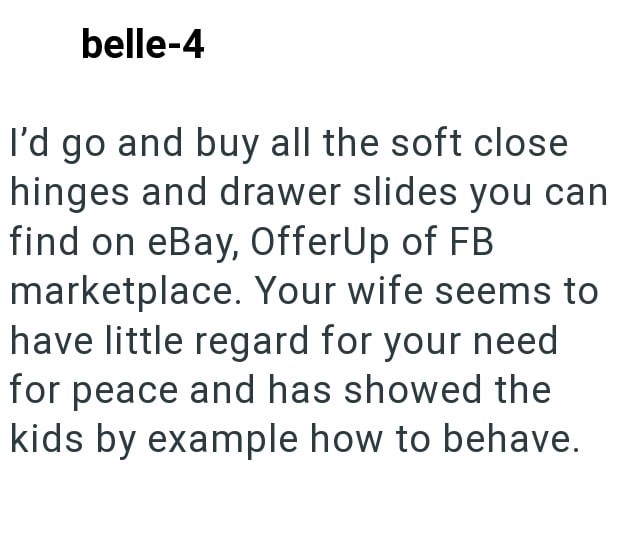 belle-4 I'd go and buy all the soft close hinges and drawer slides you can find on eBay, OfferUp of FB marketplace. Your wife seems to have little regard for your need for peace and has showed the kids by example how to behave.