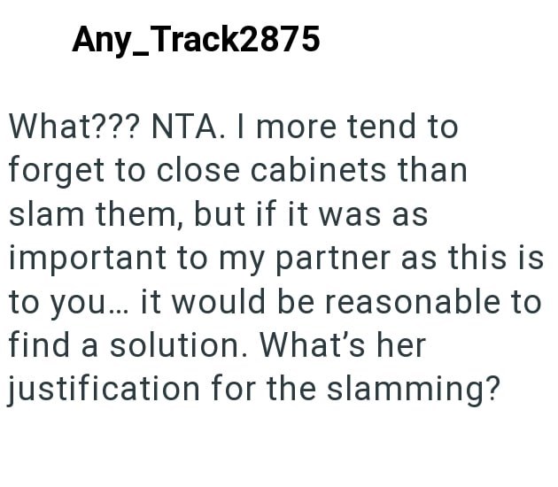 Any_Track2875 What??? NTA. I more tend to forget to close cabinets than slam them, but if it was as important to my partner as this is to you... it would be reasonable to find a solution. What's her justification for the slamming?