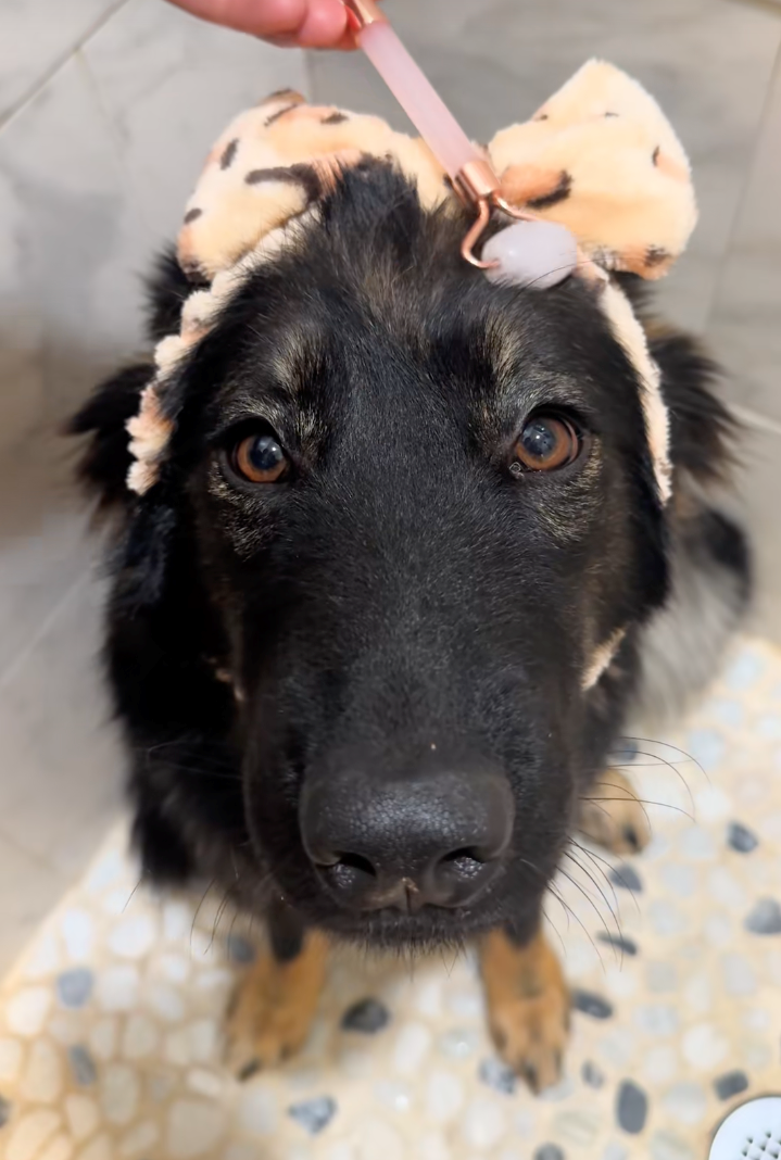 Cheezburger Image 10622291968