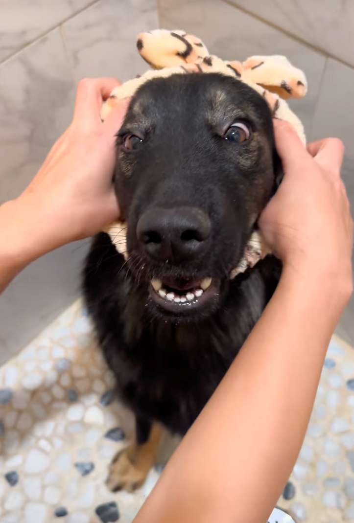 Cheezburger Image 10622292224