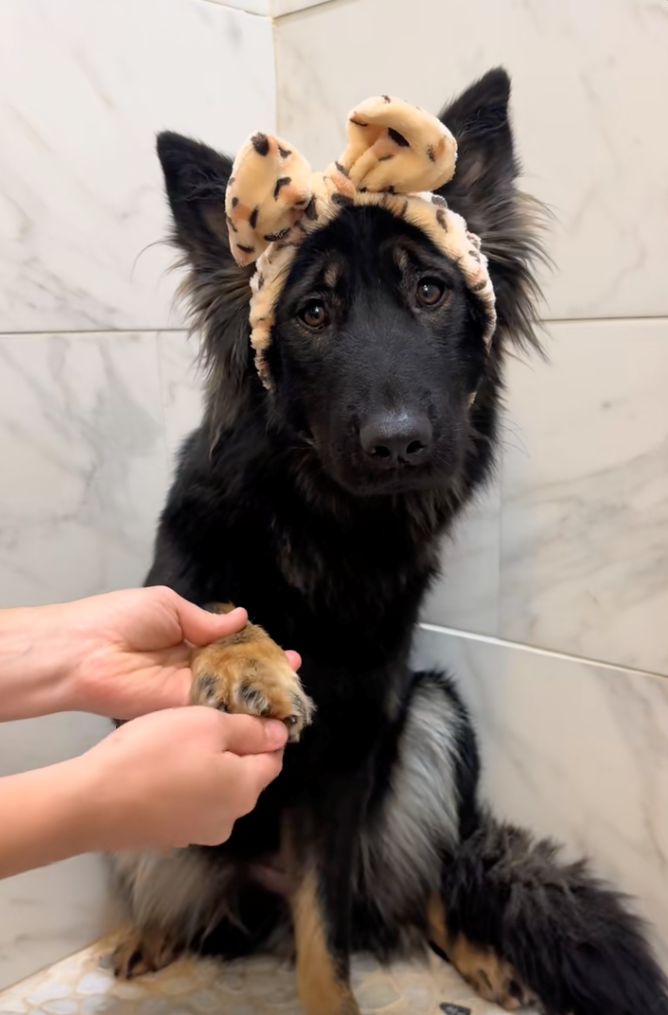 Cheezburger Image 10622292480