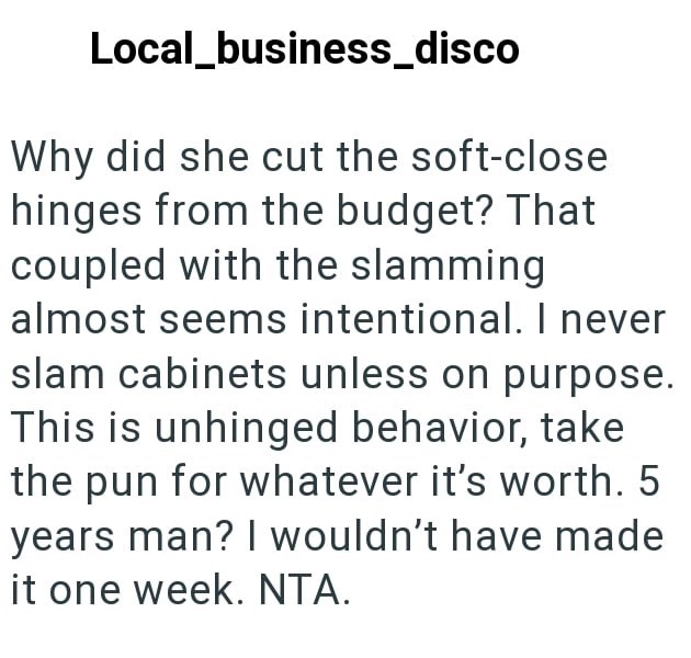 Local_business_disco Why did she cut the soft-close hinges from the budget? That coupled with the slamming almost seems intentional. I never slam cabinets unless on purpose. This is unhinged behavior, take the pun for whatever it's worth. 5 years man? I wouldn't have made it one week. NTA.