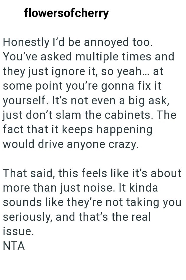 flowersofcherry Honestly I'd be annoyed too. You've asked multiple times and they just ignore it, so yeah... at some point you're gonna fix it yourself. It's not even a big ask, just don't slam the cabinets. The fact that it keeps happening would drive anyone crazy. That said, this feels like it's about more than just noise. It kinda sounds like they're not taking you seriously, and that's the real issue. NTA