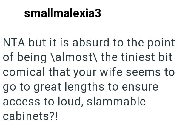 smallmalexia3 NTA but it is absurd to the point of being \almost\ the tiniest bit comical that your wife seems to go to great lengths to ensure access to loud, slammable cabinets?!