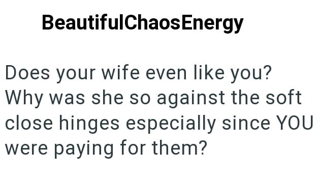 BeautifulChaos Energy Does your wife even like you? Why was she so against the soft close hinges especially since YOU were paying for them?