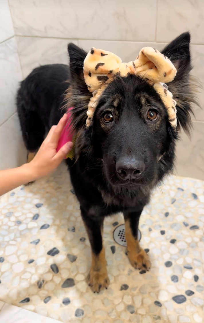 Cheezburger Image 10622293760