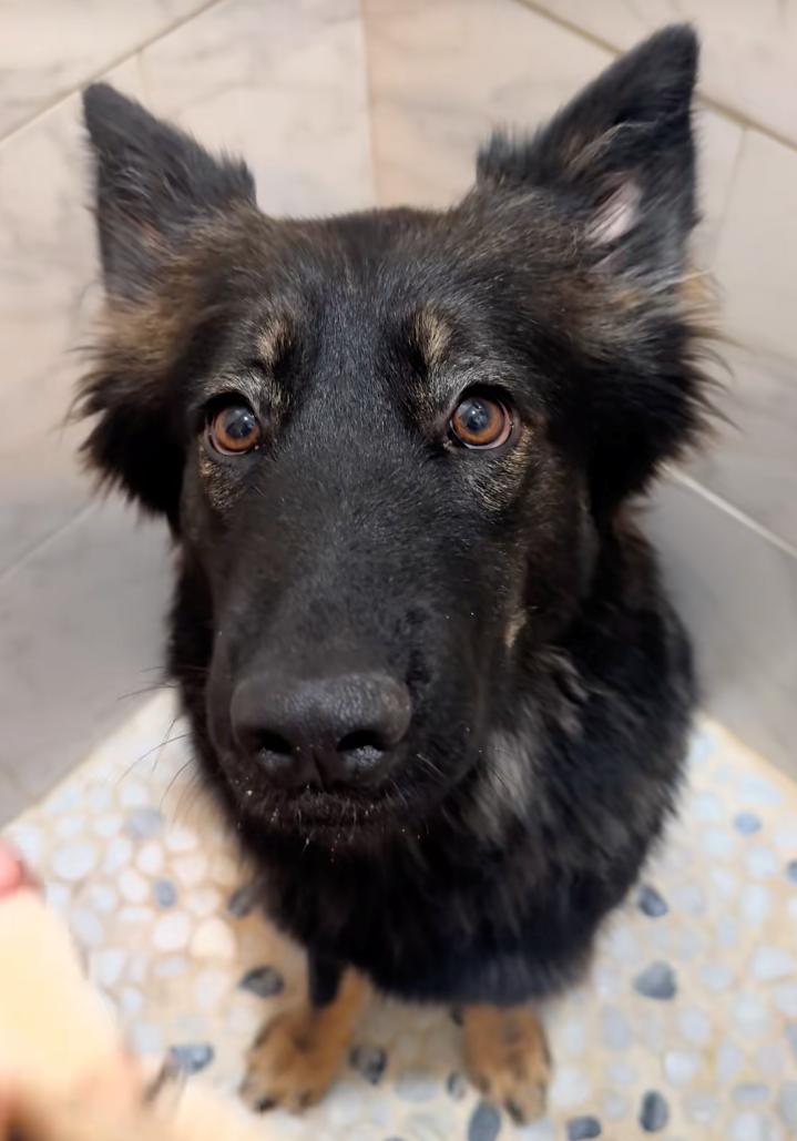 Cheezburger Image 10622294016