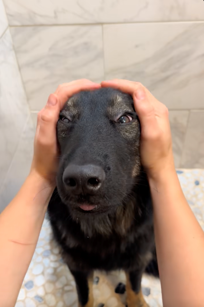 Cheezburger Image 10622295296