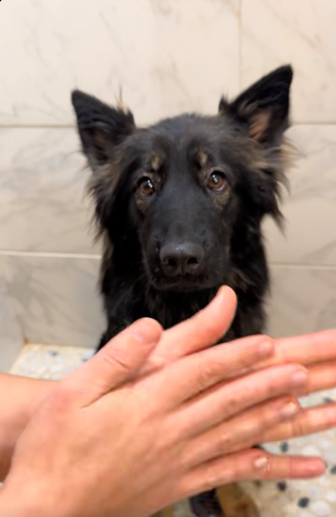 Cheezburger Image 10622295808