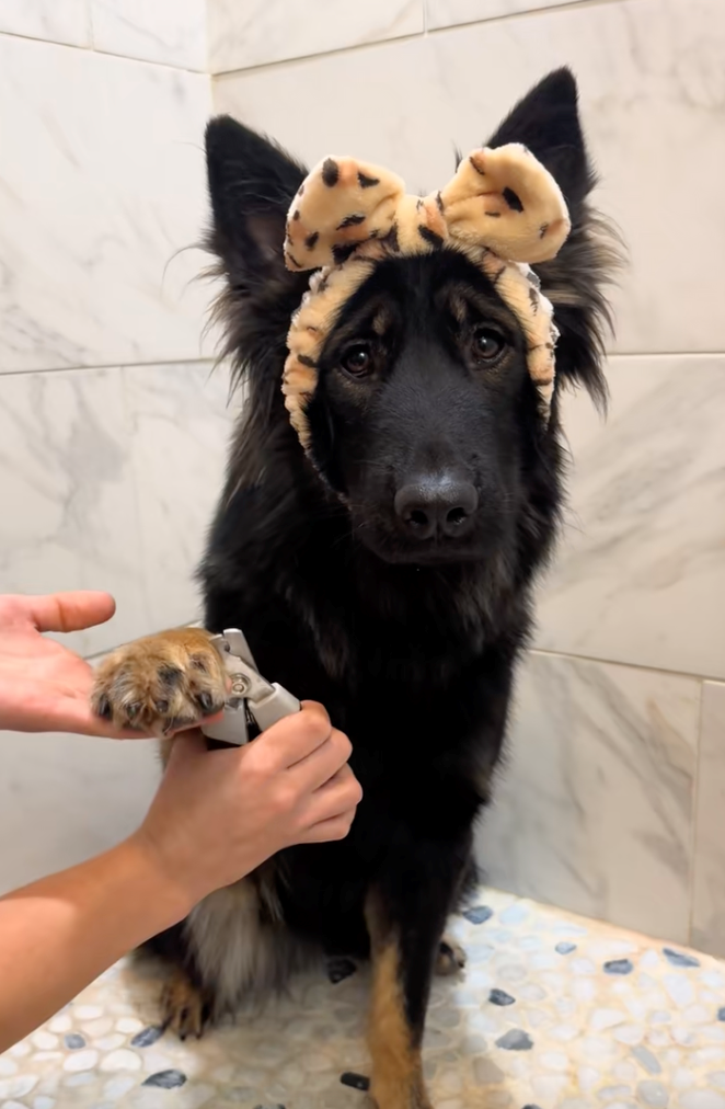 Cheezburger Image 10622296320