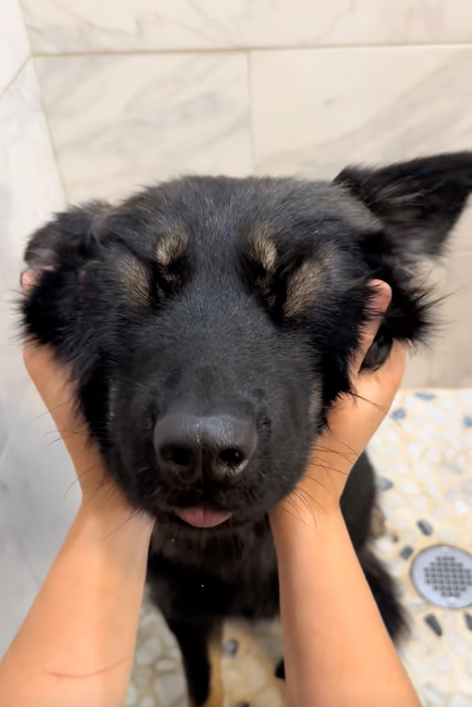 Cheezburger Image 10622296576