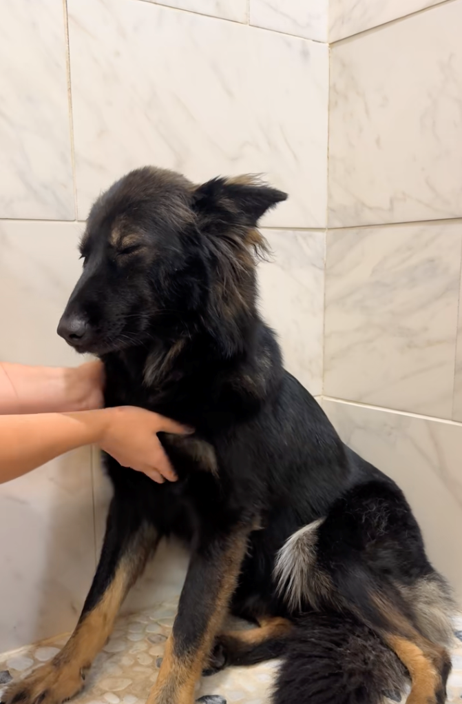 Cheezburger Image 10622296832