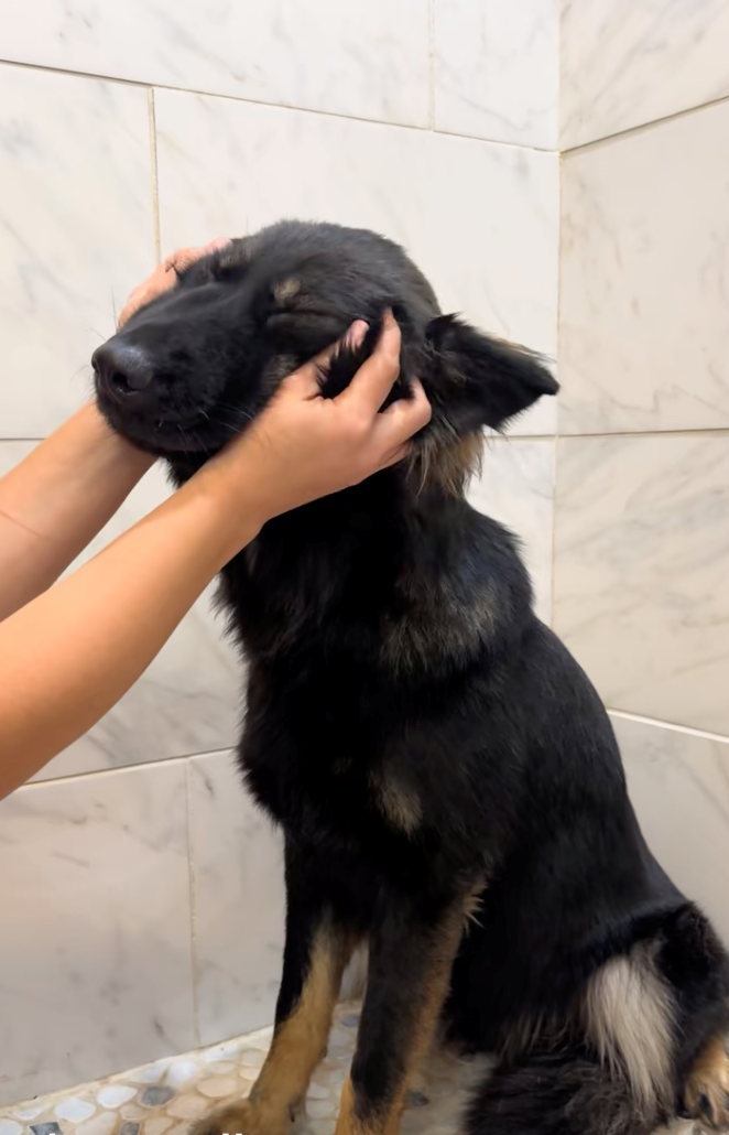 Cheezburger Image 10622297088