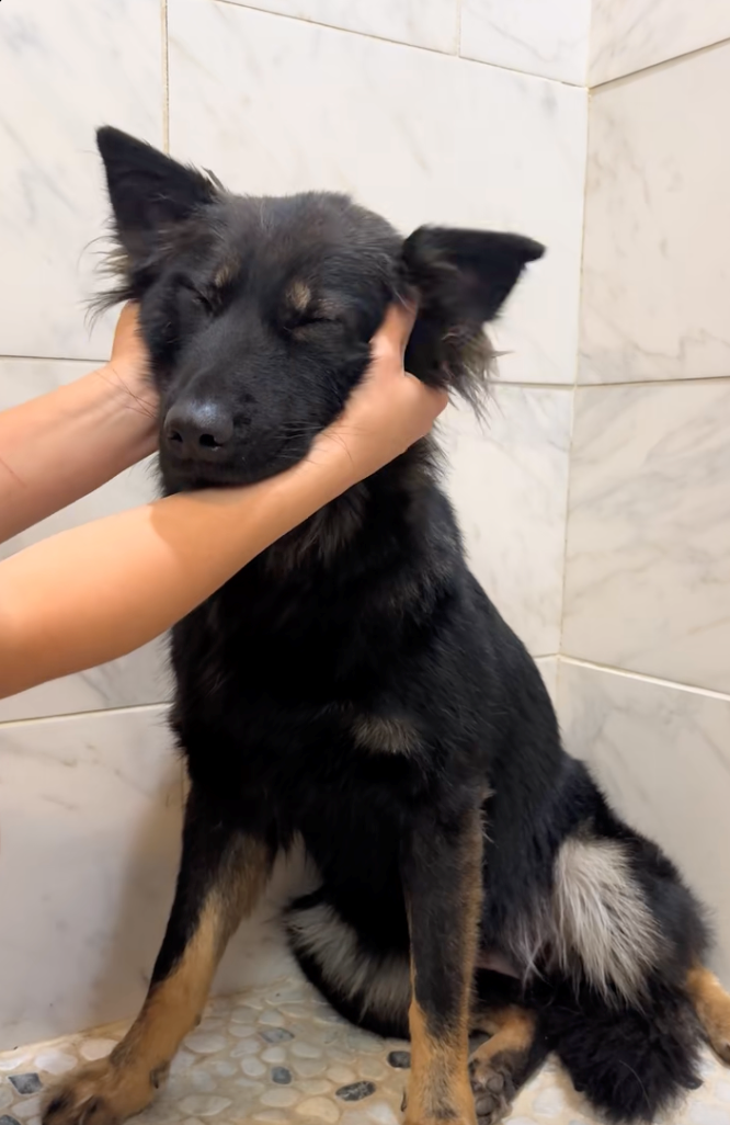 Cheezburger Image 10622297344