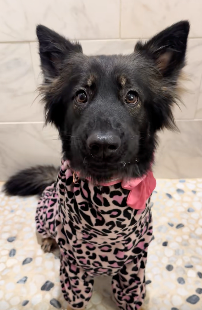 Cheezburger Image 10622297600