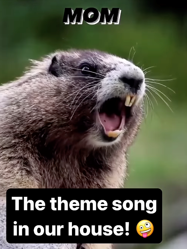 MOM The theme song in our house!