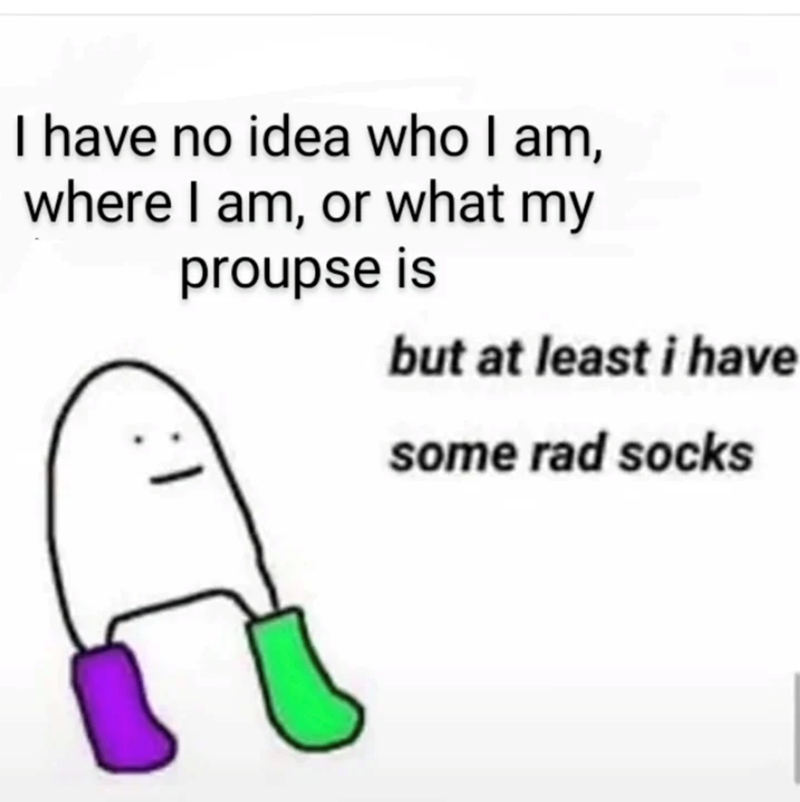 I have no idea who I am, where I am, or what my 1 proupse is but at least i have some rad socks