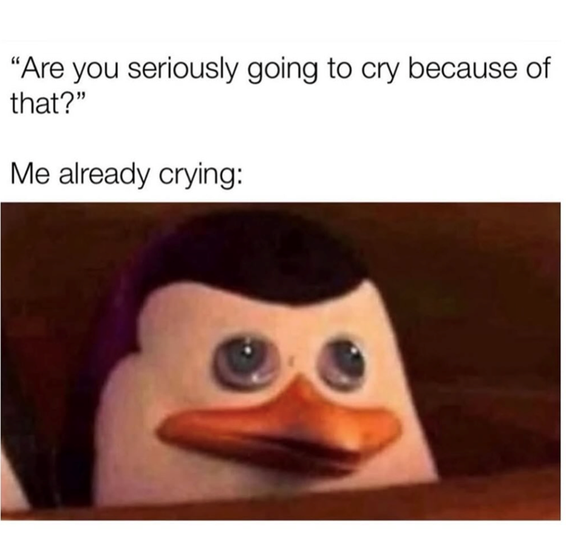 "Are you seriously going to cry because of that?" Me already crying: