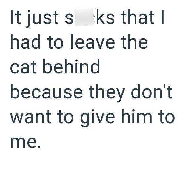 It just sks that I had to leave the cat behind because they don't want to give him to me.