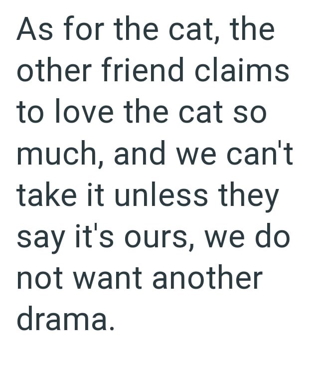 As for the cat, the other friend claims to love the cat so much, and we can't take it unless they say it's ours, we do not want another drama.