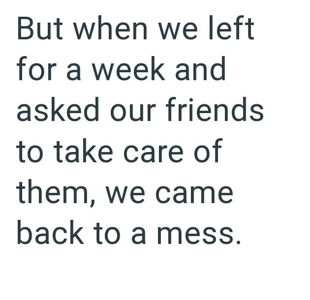 But when we left for a week and asked our friends to take care of them, we came back to a mess.