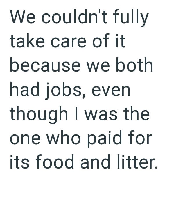 We couldn't fully take care of it because we both had jobs, even though I was the one who paid for its food and litter.