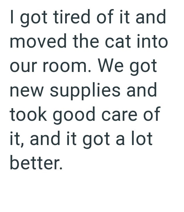 I got tired of it and moved the cat into our room. We got new supplies and took good care of it, and it got a lot better.