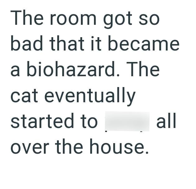 The room got so bad that it became a biohazard. The cat eventually started to all over the house.
