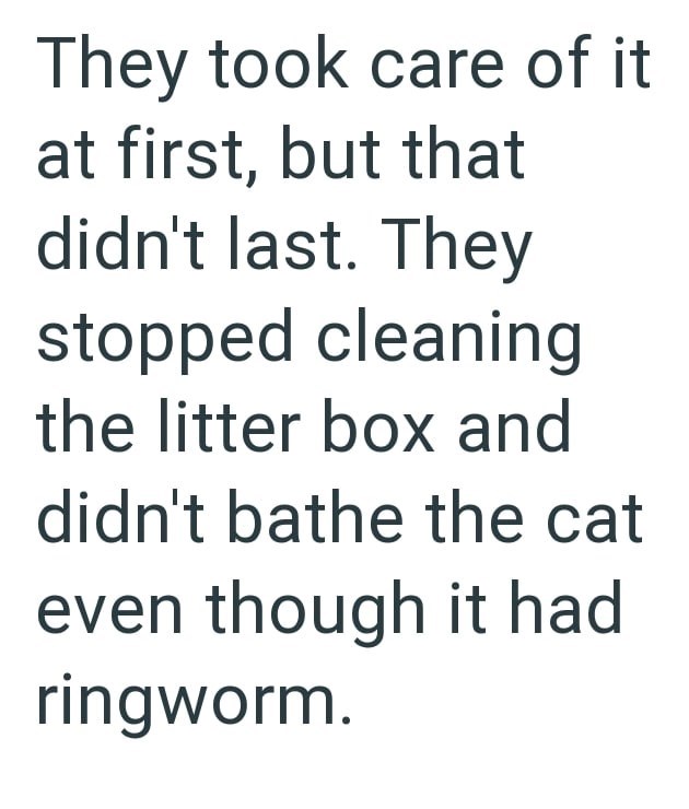 They took care of it at first, but that didn't last. They stopped cleaning the litter box and didn't bathe the cat even though it had ringworm.
