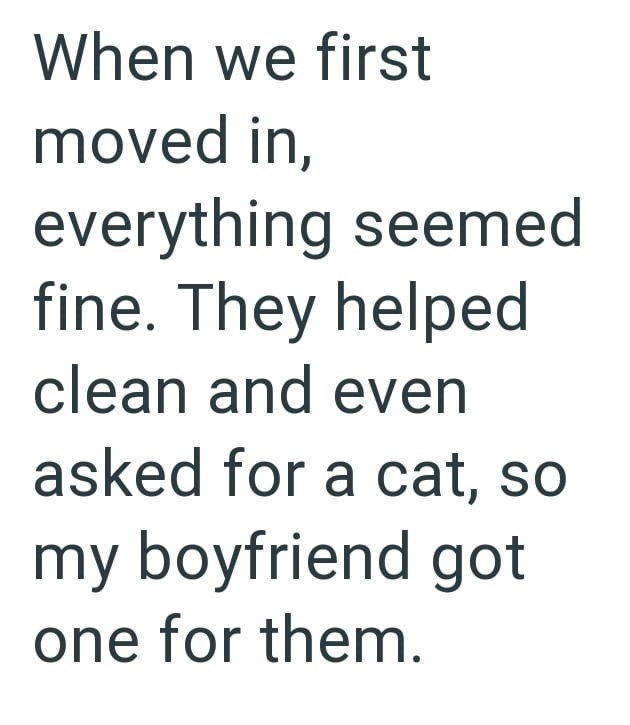 When we first moved in, everything seemed fine. They helped clean and even asked for a cat, so my boyfriend got one for them.