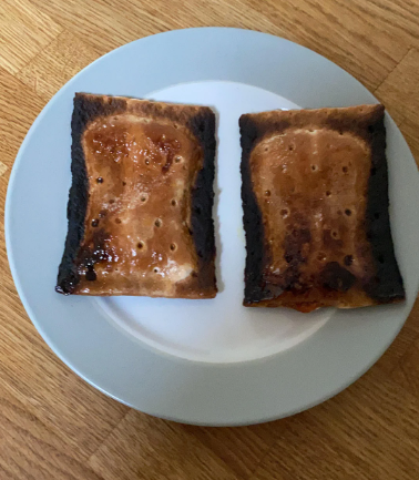 Cheezburger Image 10622353920